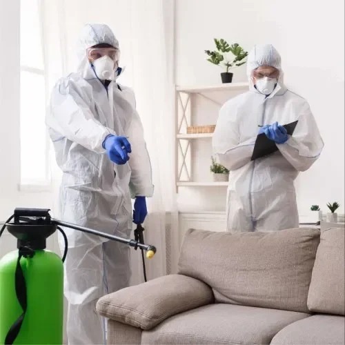 Flea and Tick Control Services