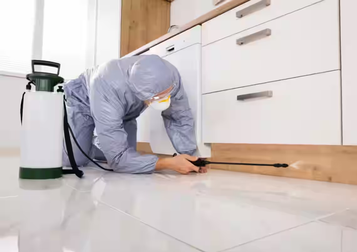 Best Termite Treatment Services