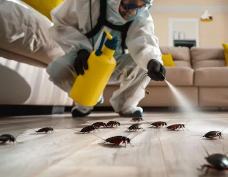 Cockroaches Pest Control services